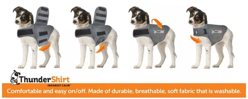 Thundershirt grau Hund Gr. S